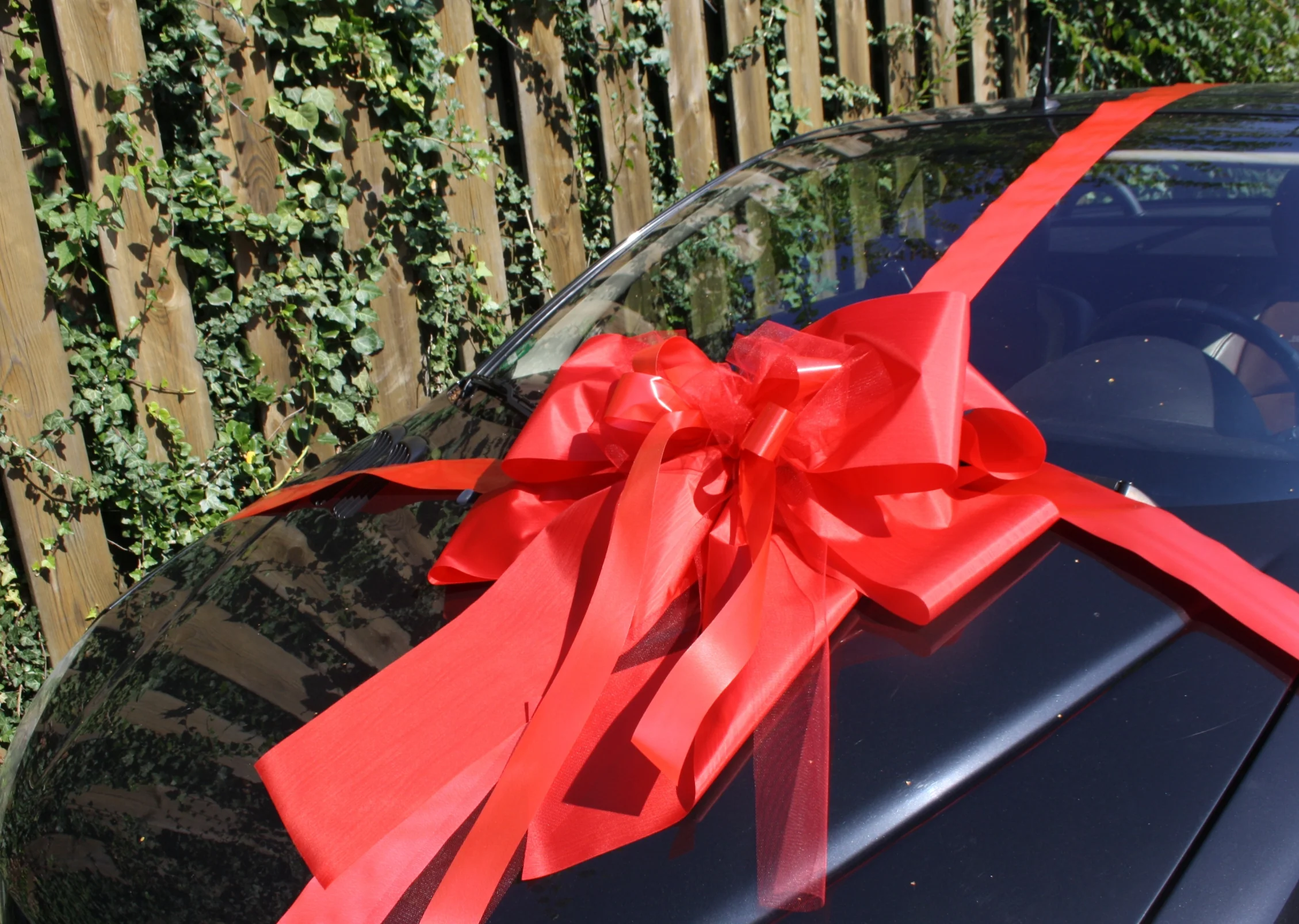 9007 Geschenkschleife Auto extra XXL mit Unterband - Image 2