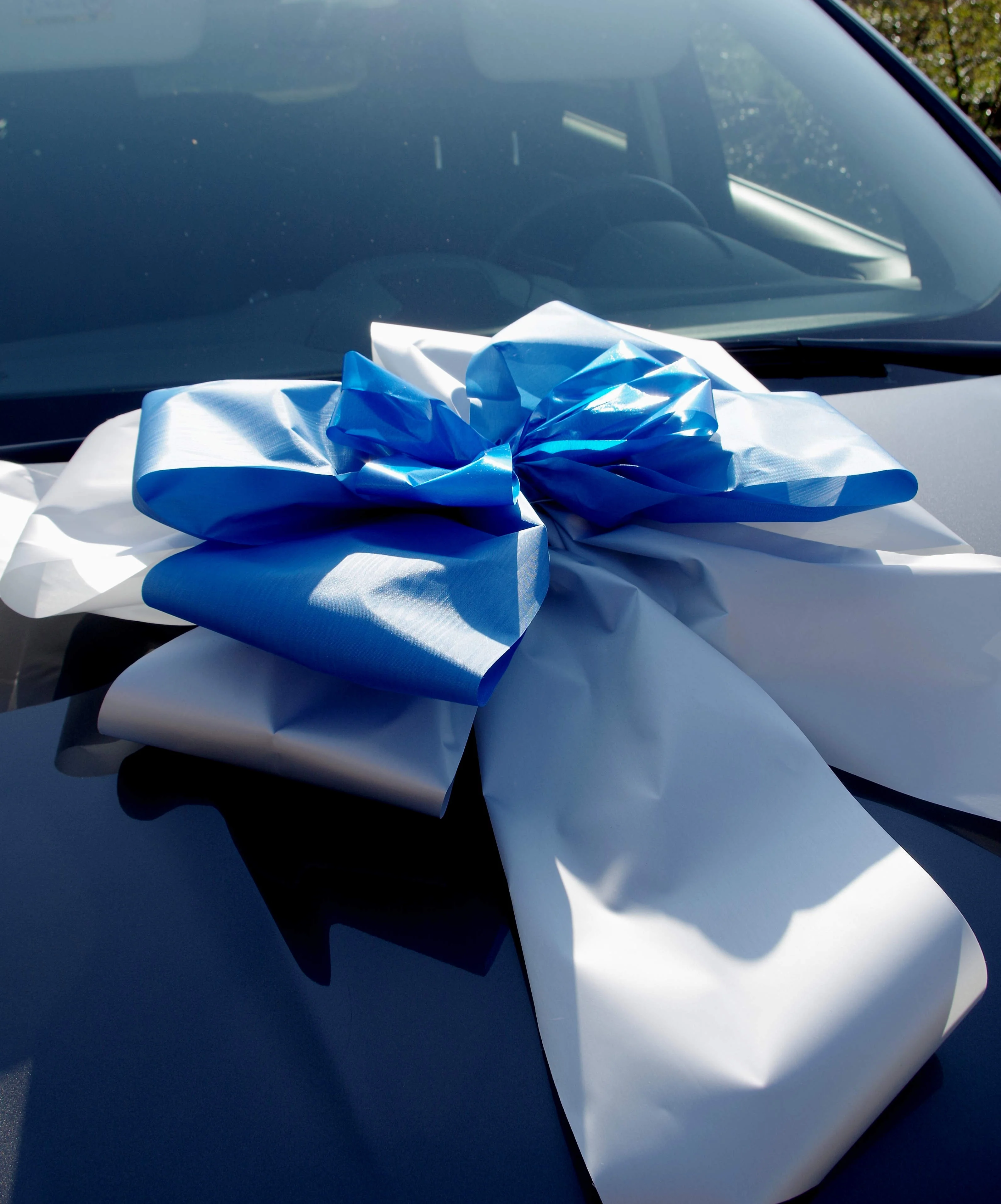 9010 Schleife XXL zweifarbig Geschenk für Auto blau-silber - Image 2