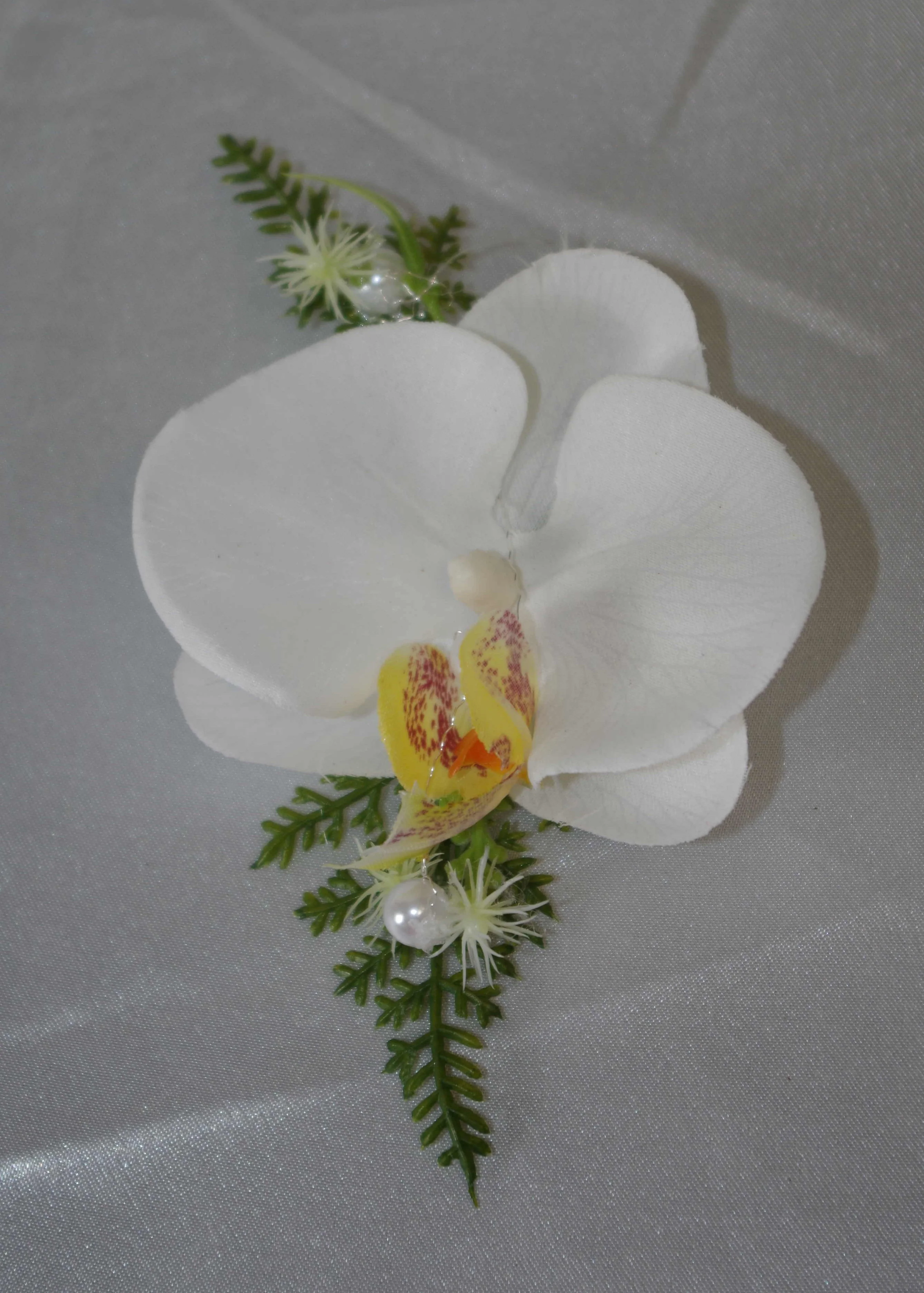 Anstecker Orchidee