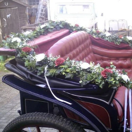 Girlande für ihre Hochzeits-Kutsche: Rosen zweifarbig