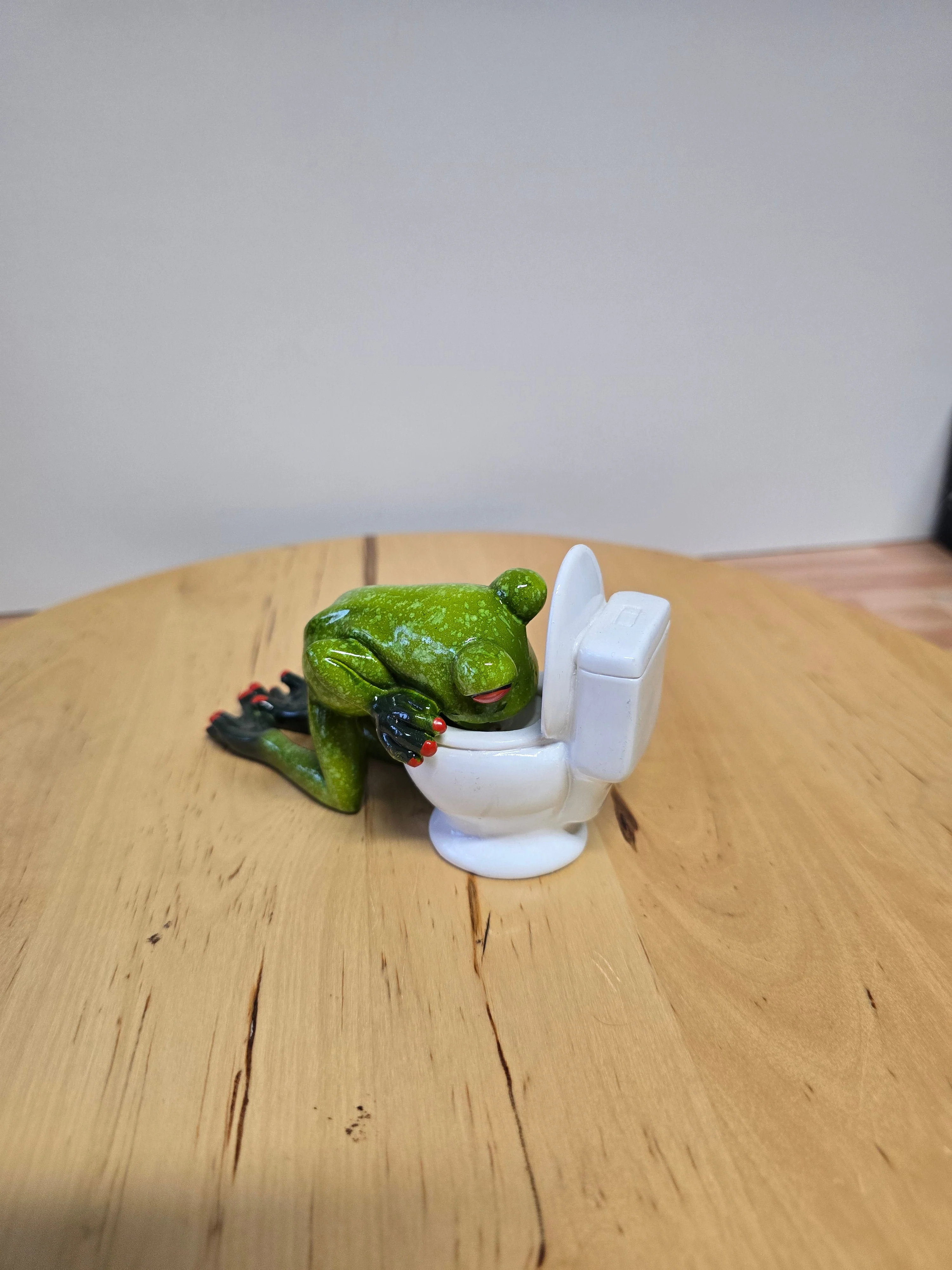 Frosch vor Toilette - Image 3